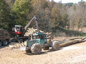 Skidders have lots of horsepower to skid trees up to a mile to the landing.